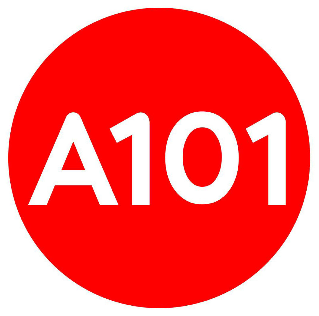 А101